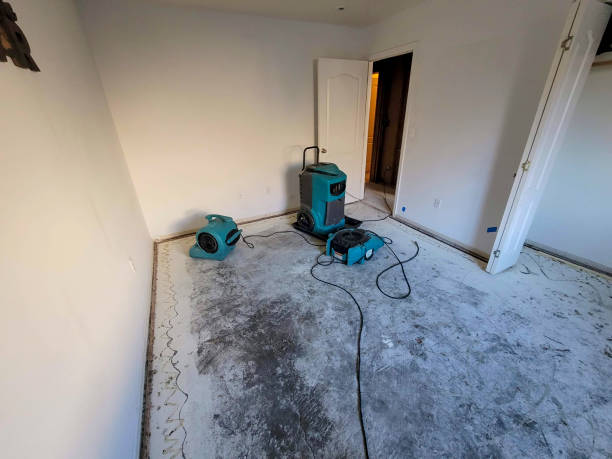 Best Basement water damage restoration  in Sparta, GA