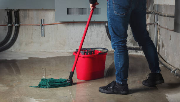 Best Flood damage cleanup  in Sparta, GA