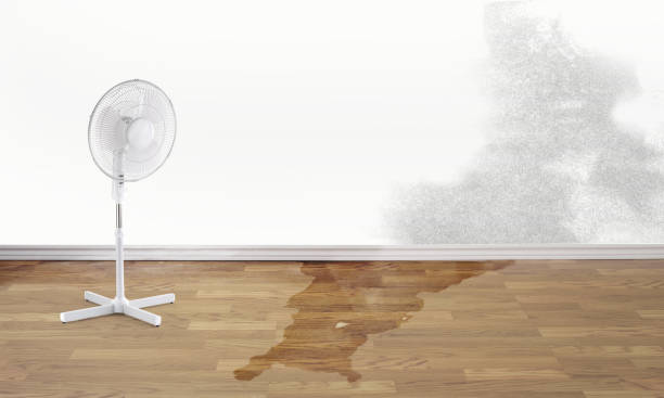 Best Flooded house restoration  in Sparta, GA