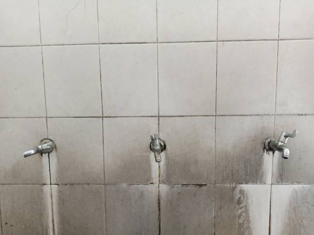 Best Water damage cleanup near me  in Sparta, GA