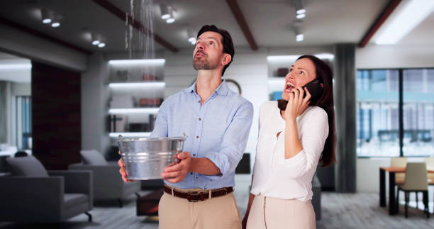 Best Local water damage restoration  in Sparta, GA