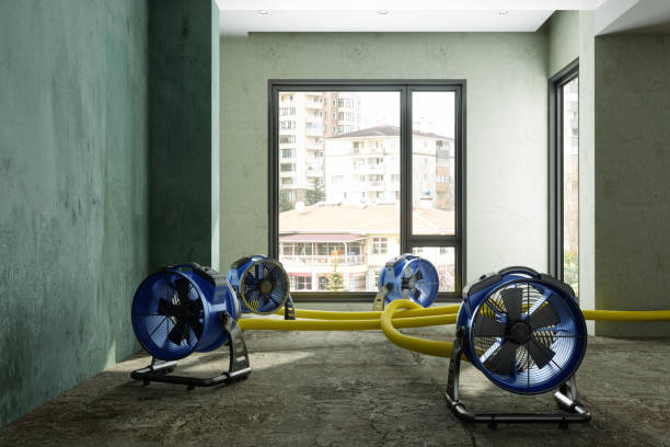 Best Carpet water damage restoration  in Sparta, GA